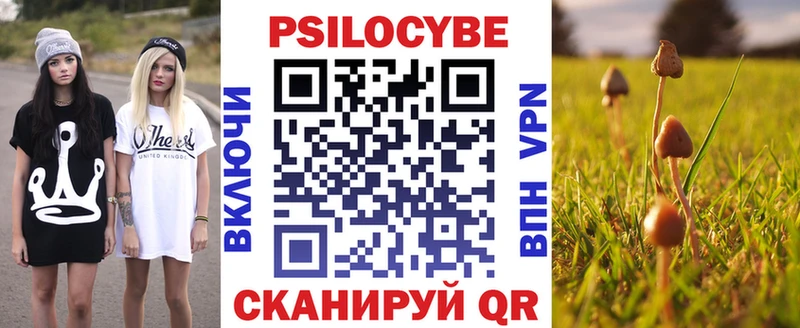 Псилоцибиновые грибы прущие грибы  Любань 